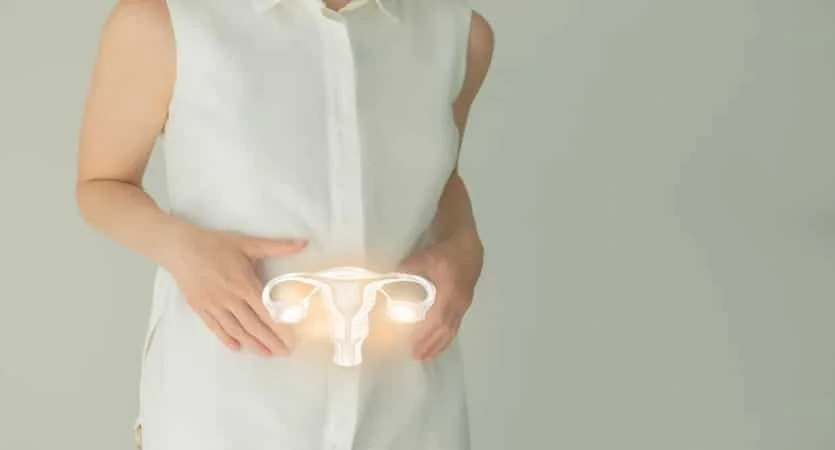 Illustration of female reproductive health